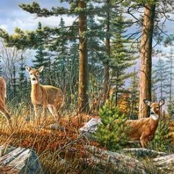Castorland Royal Deer Family - 4000 Stukjes -Goedkope puzzels winkel 550x271 3