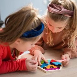 BS Houten Puzzel Spel Bijtjezzz - 43-delig - Hout - Educatief -Goedkope puzzels winkel 550x366 6