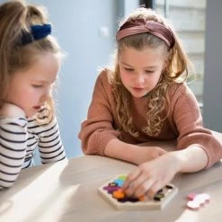 BS Houten Puzzel Spel Bijtjezzz - 43-delig - Hout - Educatief -Goedkope puzzels winkel 550x366 7