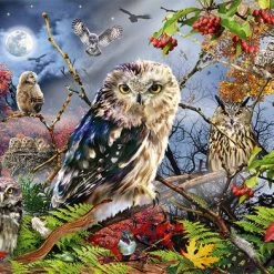Jumbo Premium Collection Puzzel Owls In The Moonlight - Legpuzzel - 1000 Stukjes -Goedkope puzzels winkel 550x392 54