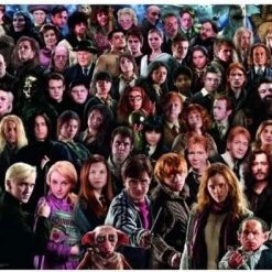 Ravensburger Puzzel Harry Potter Challenge - Legpuzzel - 1000 Stukjes -Goedkope puzzels winkel 550x395