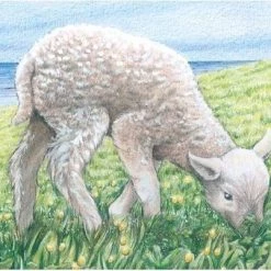 Goki Houten Blokpuzzel Boerderijdieren -Goedkope puzzels winkel 550x402 12