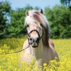 Ravensburger Puzzel Paard Tussen De Bloemen - Legpuzzel - 500 Stukjes -Goedkope puzzels winkel 550x404 10