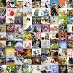 Ravensburger Puzzel 99 Katten - 1500 Stukjes 8 Ravensburger Puzzel 99 Katten - 1500 Stukjes -Goedkope puzzels winkel 550x412 18
