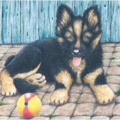 Goki Houten Blokpuzzel Boerderijdieren -Goedkope puzzels winkel 550x442 4