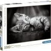 Clementoni Legpuzzel - High Quality Puzzel Collectie - Kitten - 1000 Stukjes, Puzzel Volwassenen