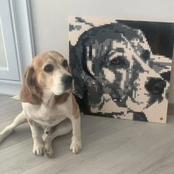 Mozabrick - Foto Legpuzzel - Model S 26 Mozabrick - Foto Legpuzzel - Model S -Goedkope puzzels winkel 550x550 141