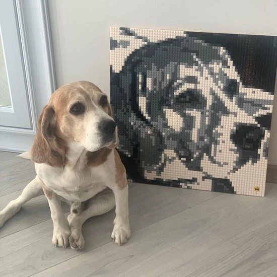 Mozabrick - Foto Legpuzzel - Model S 12 Mozabrick - Foto Legpuzzel - Model S - Afbeelding 12