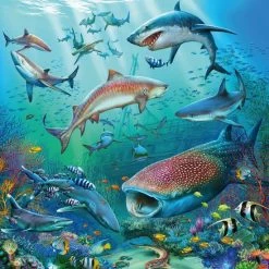 Ravensburger Puzzel Dieren In De Oceaan - 3x49 Stukjes - Kinderpuzzel -Goedkope puzzels winkel 550x550 184