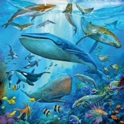 Ravensburger Puzzel Dieren In De Oceaan - 3x49 Stukjes - Kinderpuzzel -Goedkope puzzels winkel 550x550 185