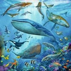 Ravensburger Puzzel Dieren In De Oceaan - 3x49 Stukjes - Kinderpuzzel -Goedkope puzzels winkel 550x550 188