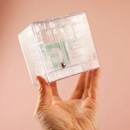 Nutcrackers Money Maze Geldpuzzel Spaarpot 2 Nutcrackers Money Maze Geldpuzzel Spaarpot - Afbeelding 2